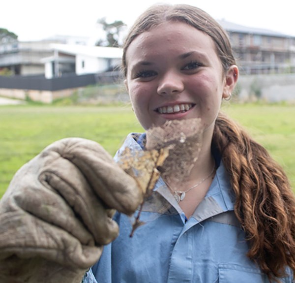 Landcare Image