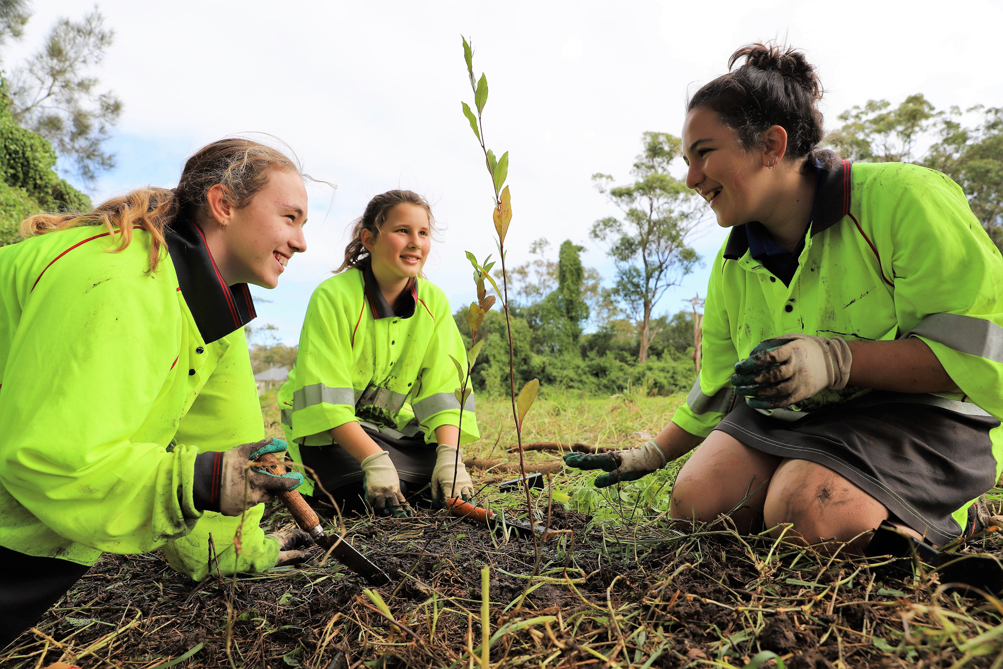 Stewardship Right Image